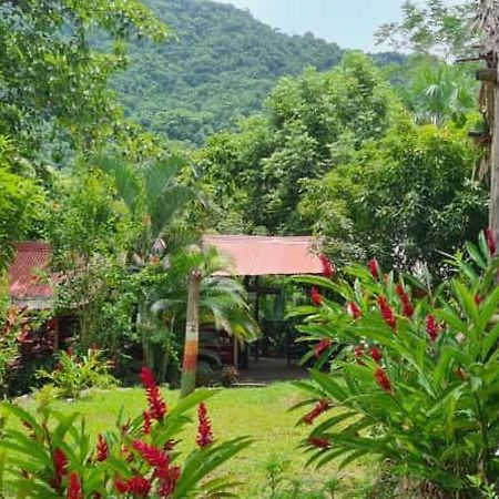 Eco Hostal Monolandia Эль-Саино Экстерьер фото