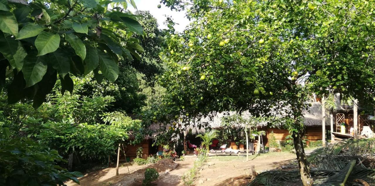 Eco Hostal Monolandia Эль-Саино Экстерьер фото