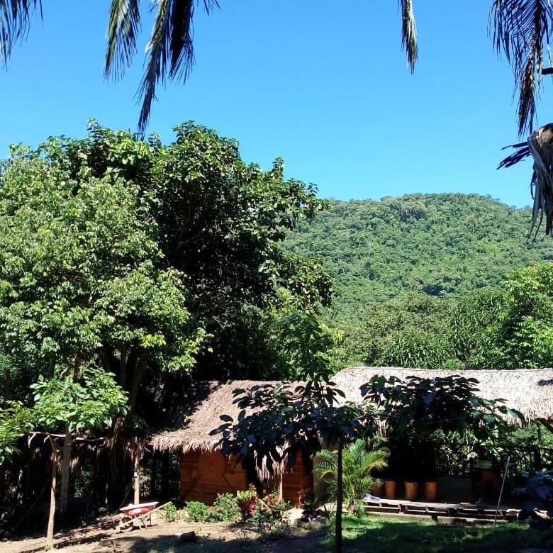 Eco Hostal Monolandia Эль-Саино Экстерьер фото
