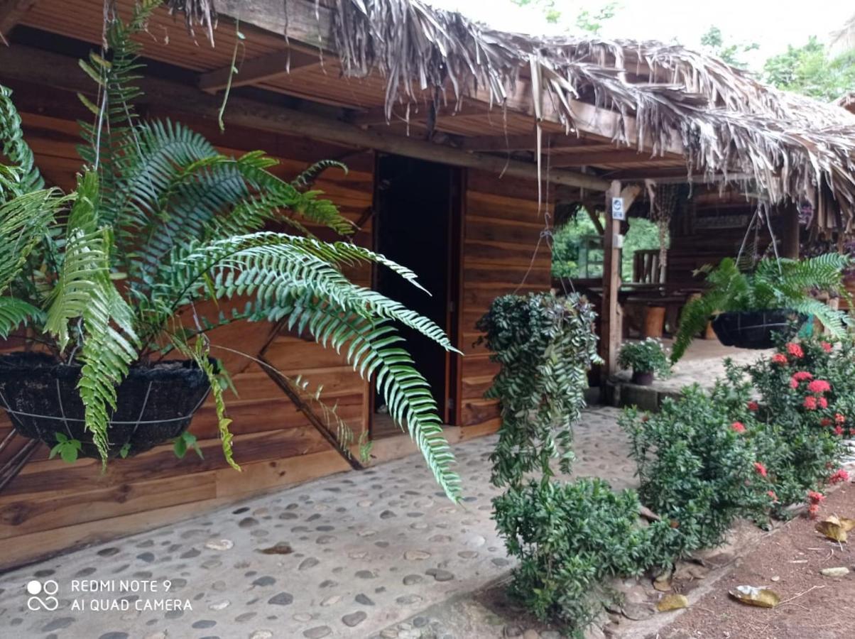 Eco Hostal Monolandia Эль-Саино Экстерьер фото