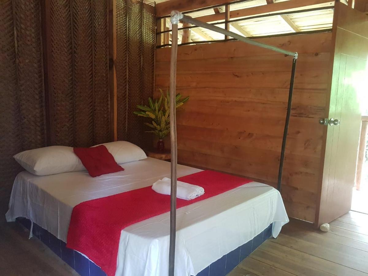 Eco Hostal Monolandia Эль-Саино Экстерьер фото
