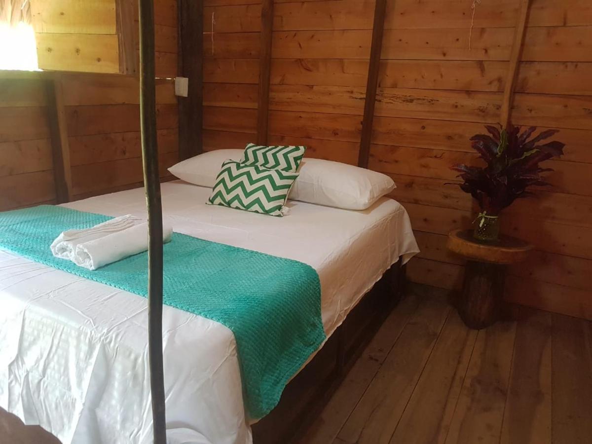 Eco Hostal Monolandia Эль-Саино Экстерьер фото
