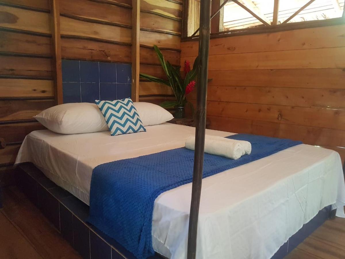 Eco Hostal Monolandia Эль-Саино Экстерьер фото