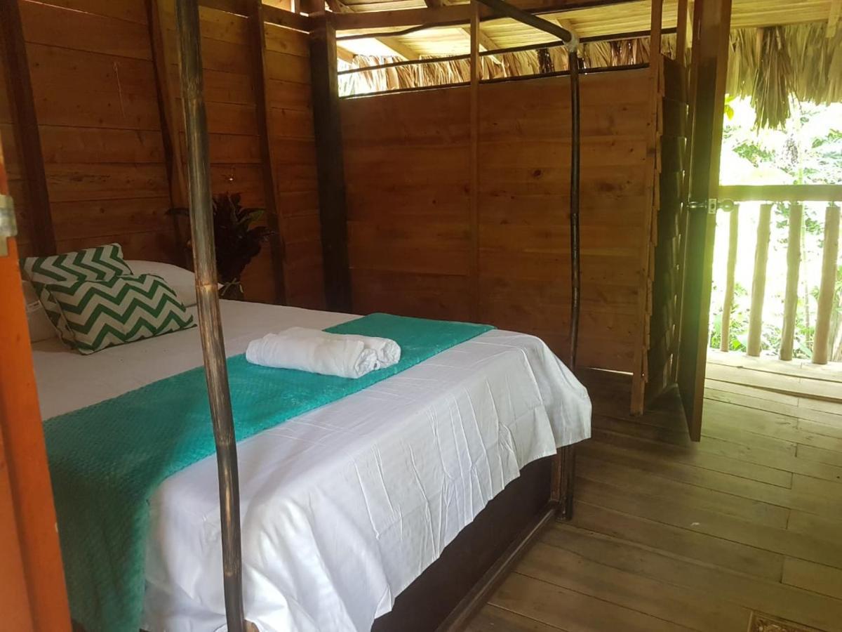 Eco Hostal Monolandia Эль-Саино Экстерьер фото