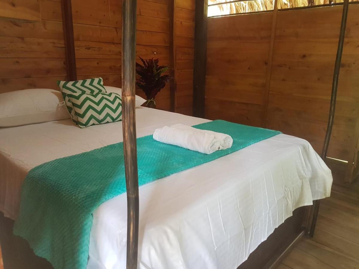 Eco Hostal Monolandia Эль-Саино Экстерьер фото