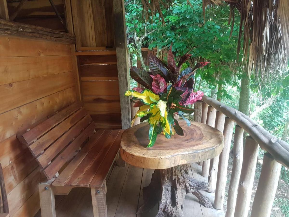 Eco Hostal Monolandia Эль-Саино Экстерьер фото
