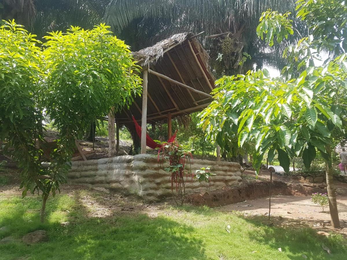 Eco Hostal Monolandia Эль-Саино Экстерьер фото