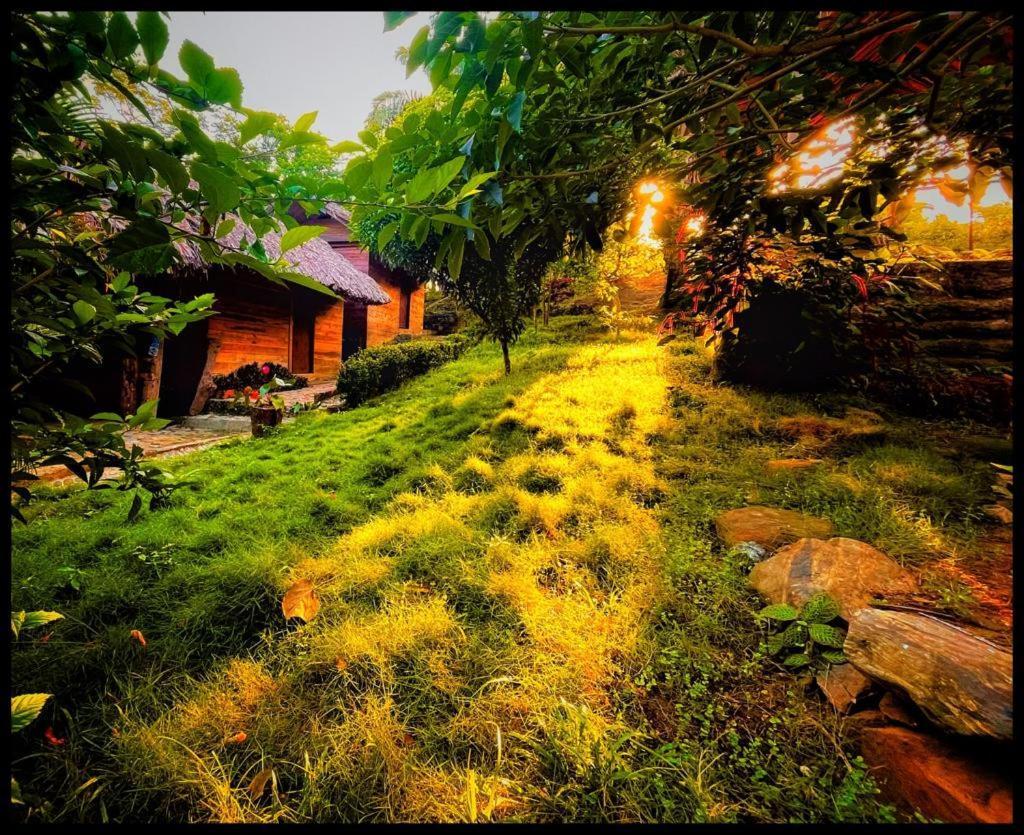 Eco Hostal Monolandia Эль-Саино Экстерьер фото