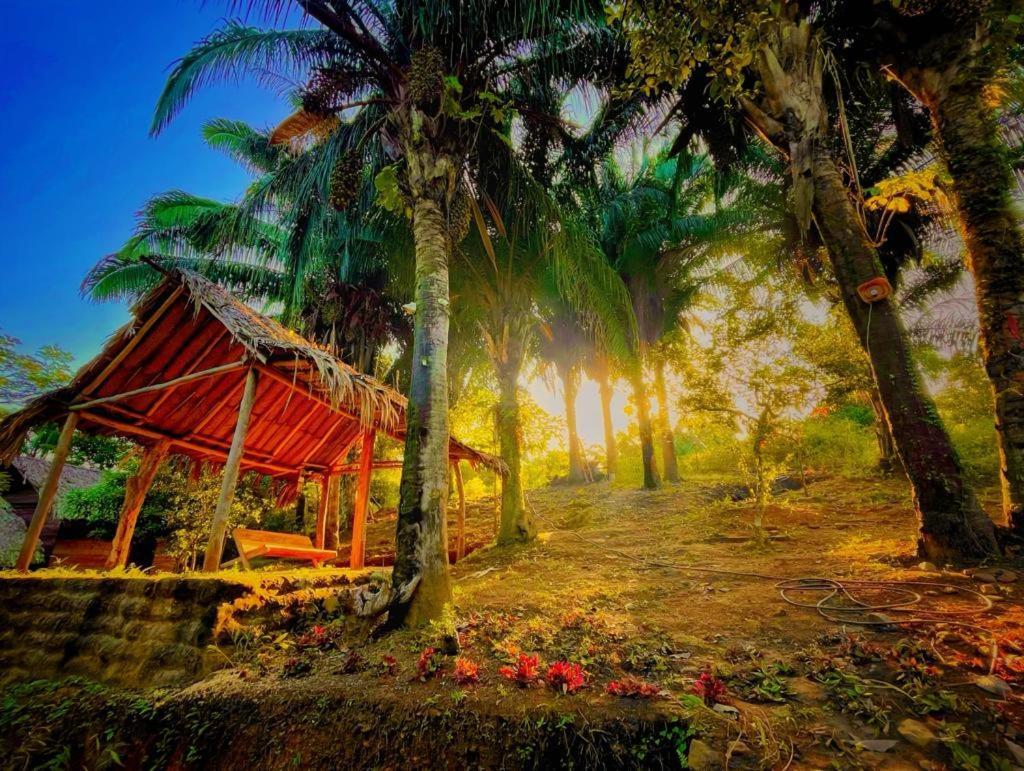 Eco Hostal Monolandia Эль-Саино Экстерьер фото
