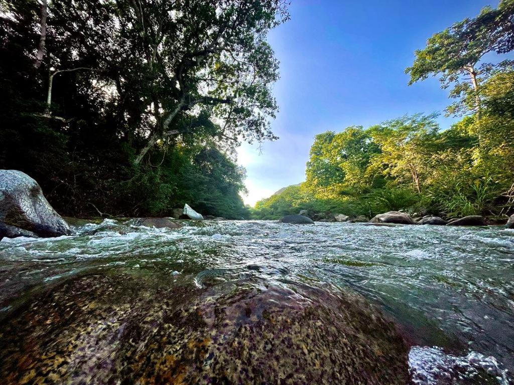 Eco Hostal Monolandia Эль-Саино Экстерьер фото