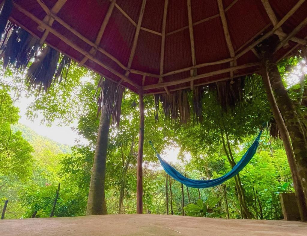 Eco Hostal Monolandia Эль-Саино Экстерьер фото