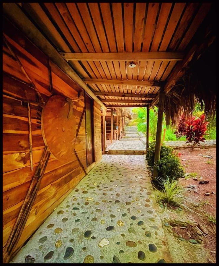 Eco Hostal Monolandia Эль-Саино Экстерьер фото
