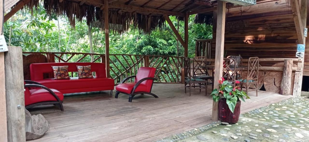 Eco Hostal Monolandia Эль-Саино Экстерьер фото