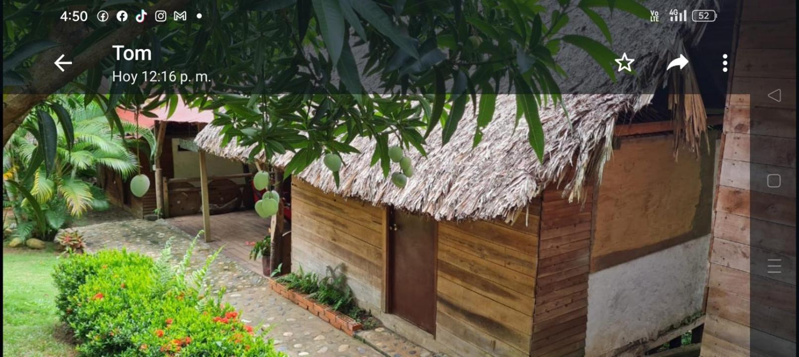 Eco Hostal Monolandia Эль-Саино Экстерьер фото