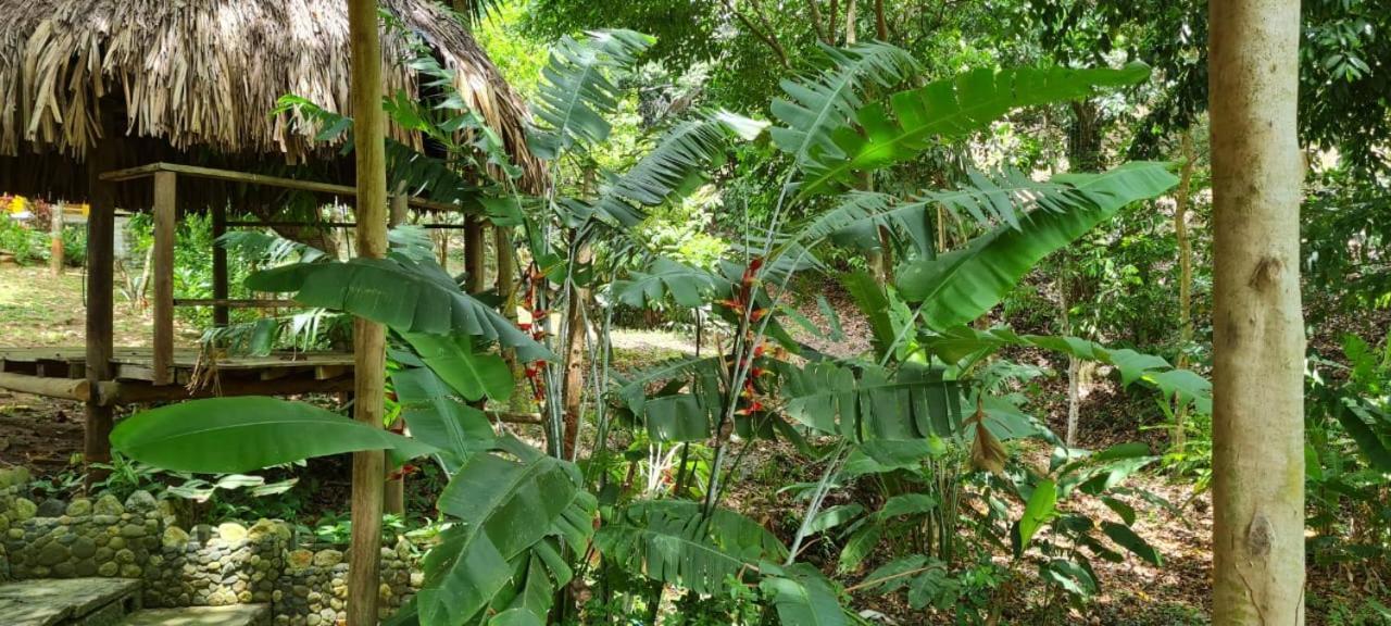 Eco Hostal Monolandia Эль-Саино Экстерьер фото