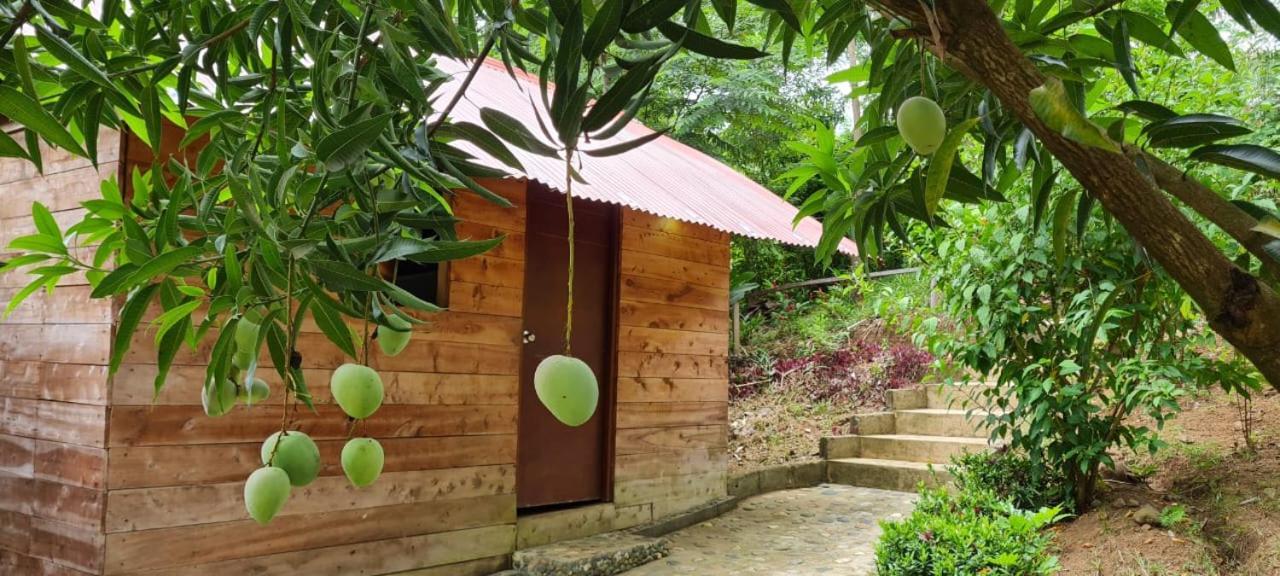 Eco Hostal Monolandia Эль-Саино Экстерьер фото