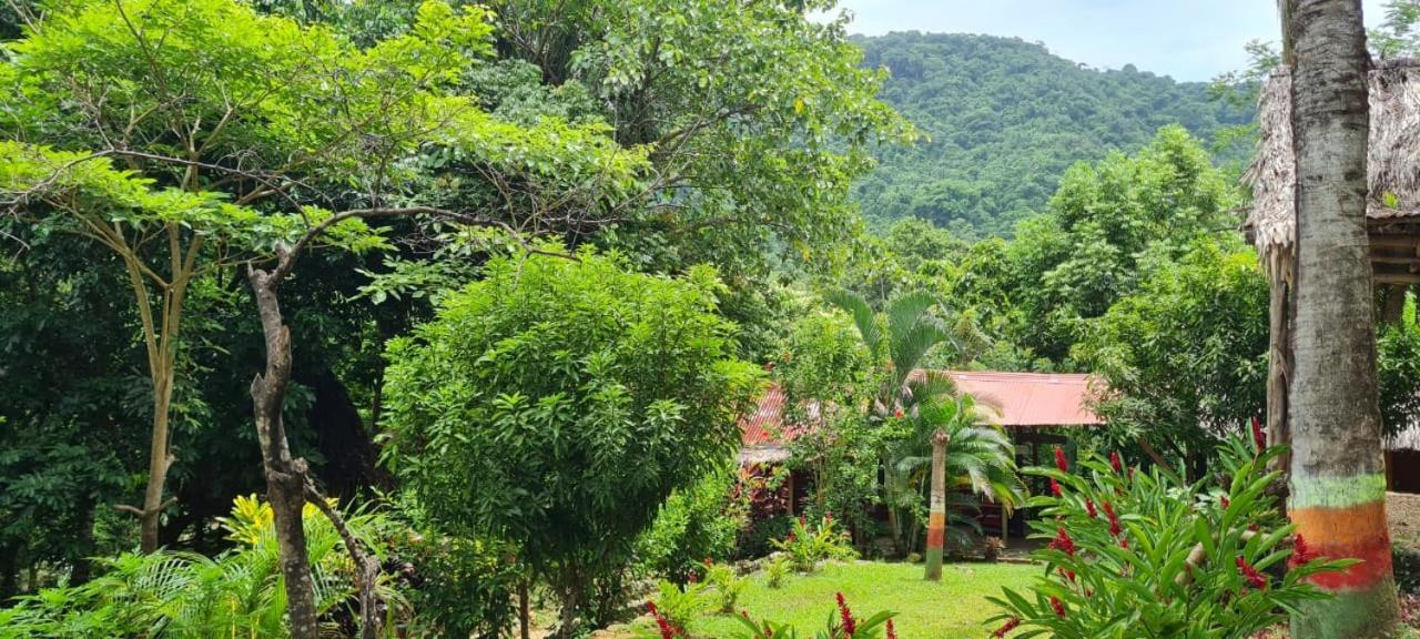 Eco Hostal Monolandia Эль-Саино Экстерьер фото