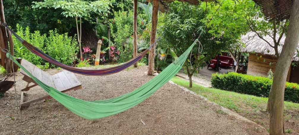 Eco Hostal Monolandia Эль-Саино Экстерьер фото
