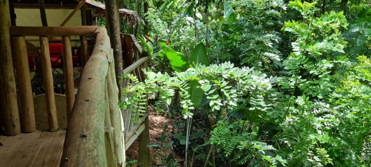 Eco Hostal Monolandia Эль-Саино Экстерьер фото