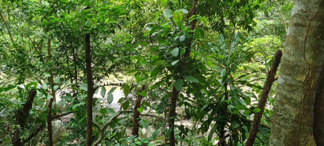 Eco Hostal Monolandia Эль-Саино Экстерьер фото