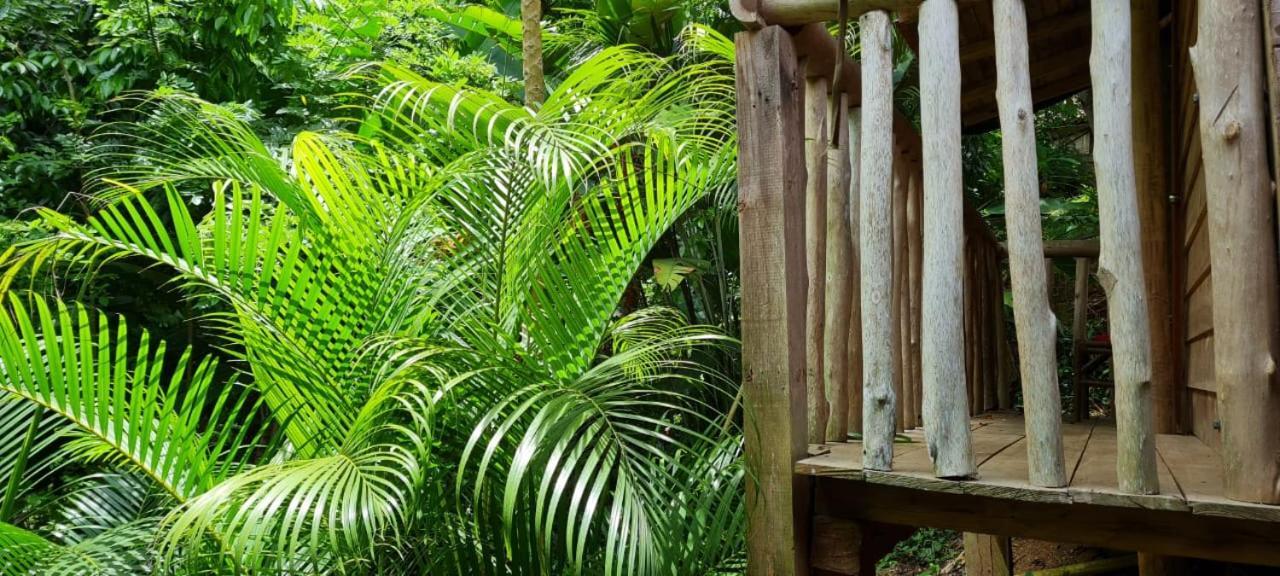 Eco Hostal Monolandia Эль-Саино Экстерьер фото