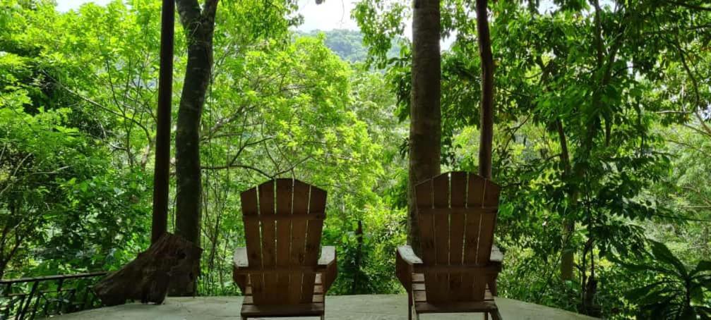 Eco Hostal Monolandia Эль-Саино Экстерьер фото