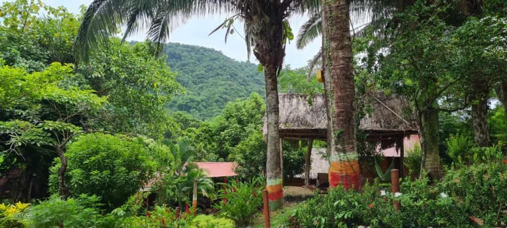 Eco Hostal Monolandia Эль-Саино Экстерьер фото