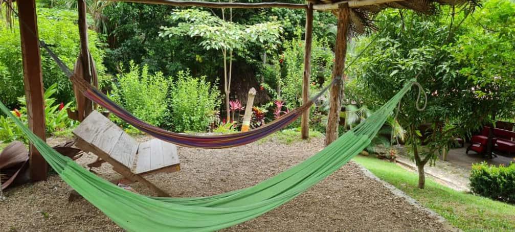 Eco Hostal Monolandia Эль-Саино Экстерьер фото