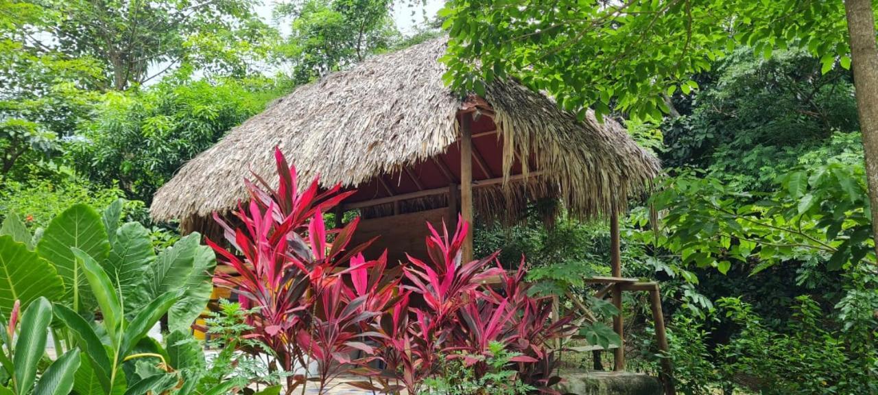 Eco Hostal Monolandia Эль-Саино Экстерьер фото