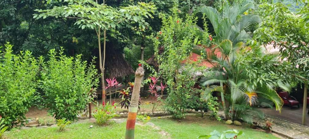 Eco Hostal Monolandia Эль-Саино Экстерьер фото