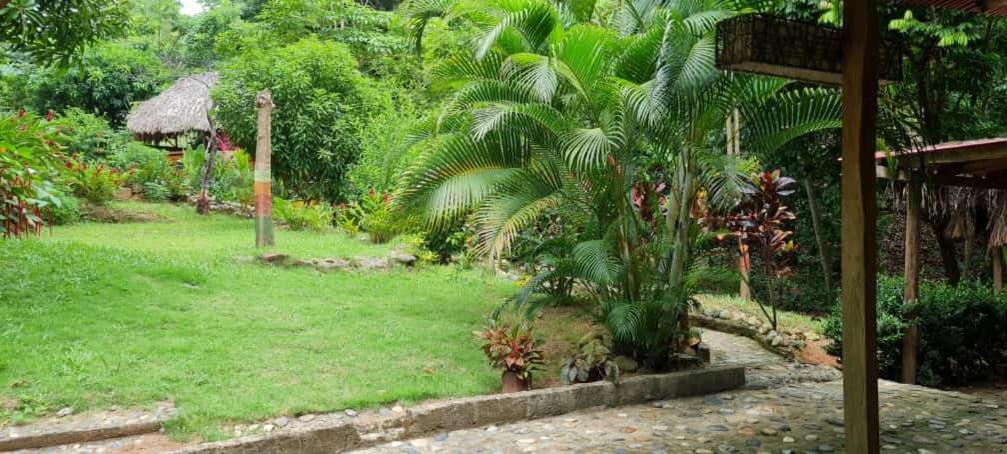 Eco Hostal Monolandia Эль-Саино Экстерьер фото