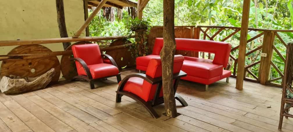 Eco Hostal Monolandia Эль-Саино Экстерьер фото