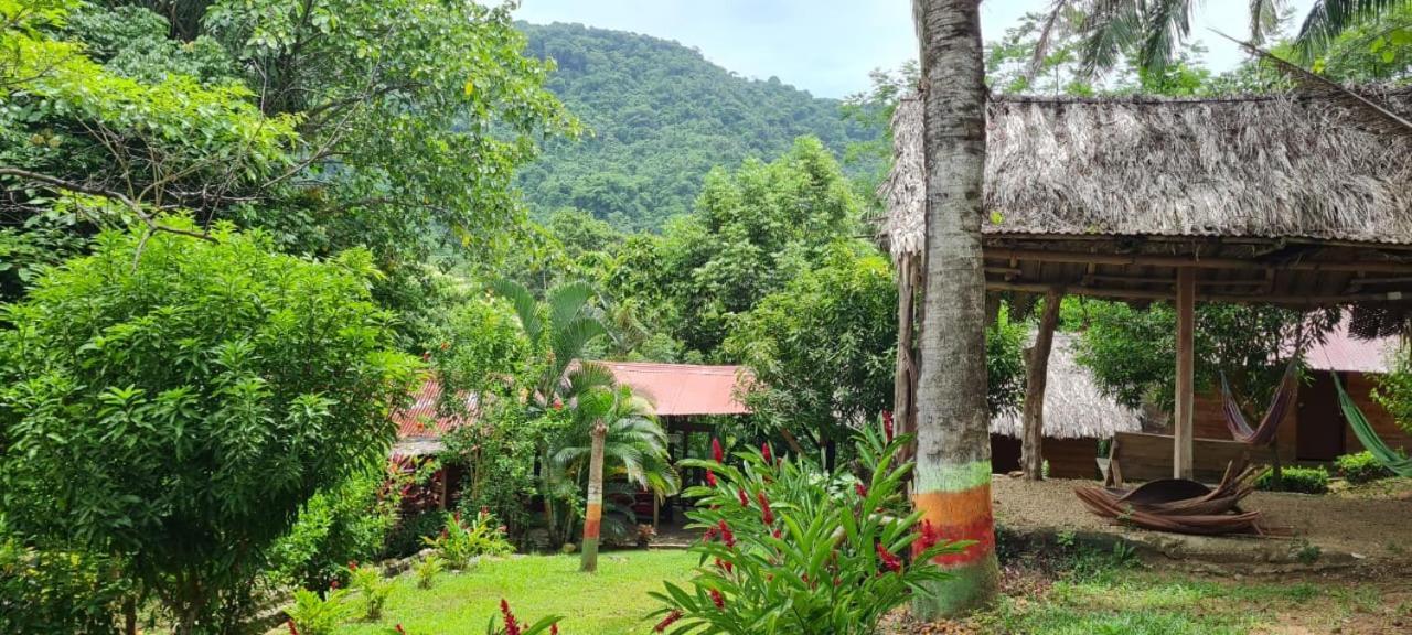 Eco Hostal Monolandia Эль-Саино Экстерьер фото