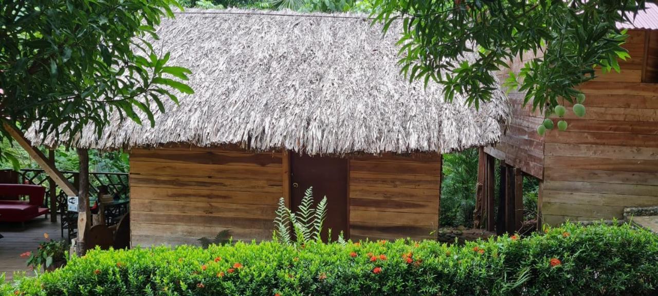 Eco Hostal Monolandia Эль-Саино Экстерьер фото
