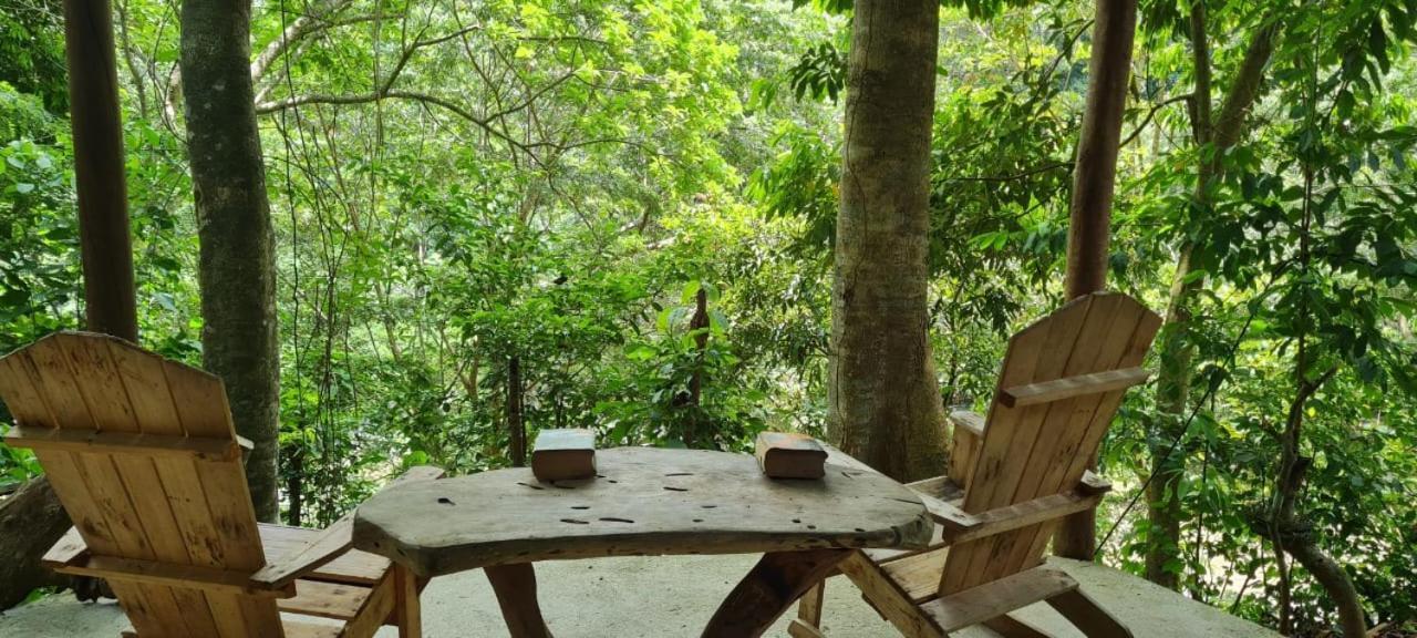 Eco Hostal Monolandia Эль-Саино Экстерьер фото