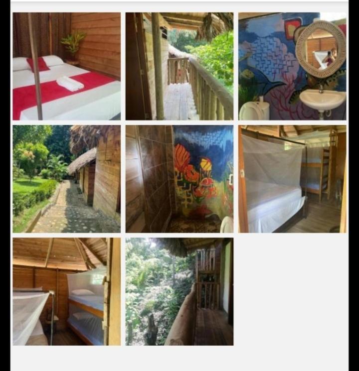 Eco Hostal Monolandia Эль-Саино Номер фото