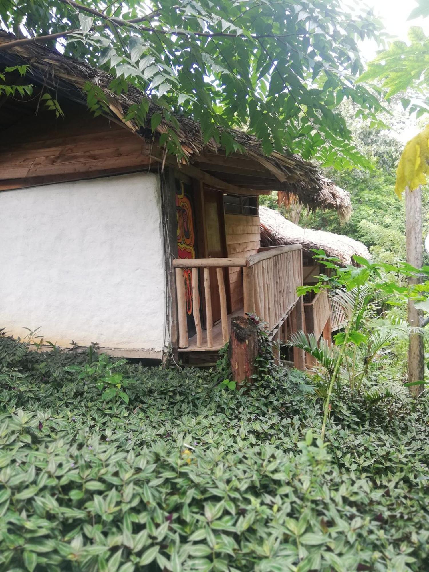 Eco Hostal Monolandia Эль-Саино Номер фото